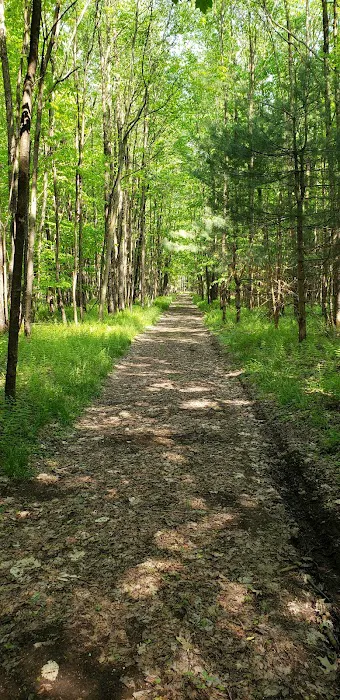 Oxbo Campground 1