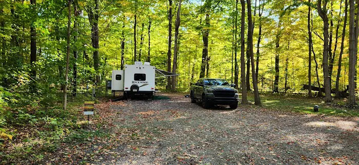 Steelhead Run East Campsite 3