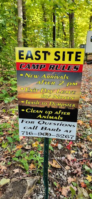 Steelhead Run East Campsite 2