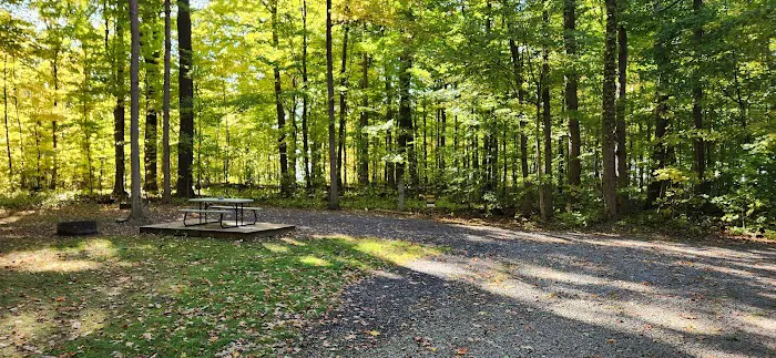 Steelhead Run East Campsite 0