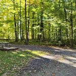 Steelhead Run East Campsite