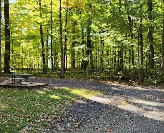 Steelhead Run East Campsite