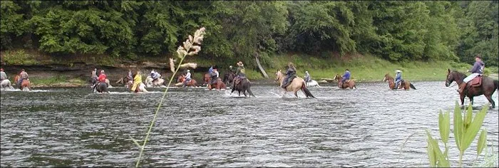 Cook Forest Scenic Trailride, Dude Ranch, and Campground 0