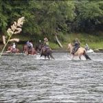 Cook Forest Scenic Trailride, Dude Ranch, and Campground