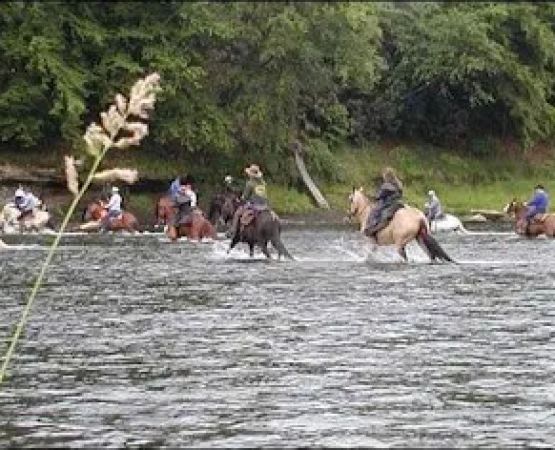 Cook Forest Scenic Trailride, Dude Ranch, and Campground