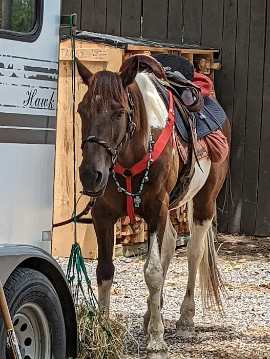 Cook Forest Scenic Trailride, Dude Ranch, and Campground 1