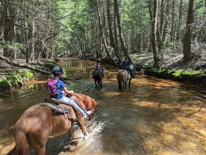 Cook Forest Scenic Trailride, Dude Ranch, and Campground 4