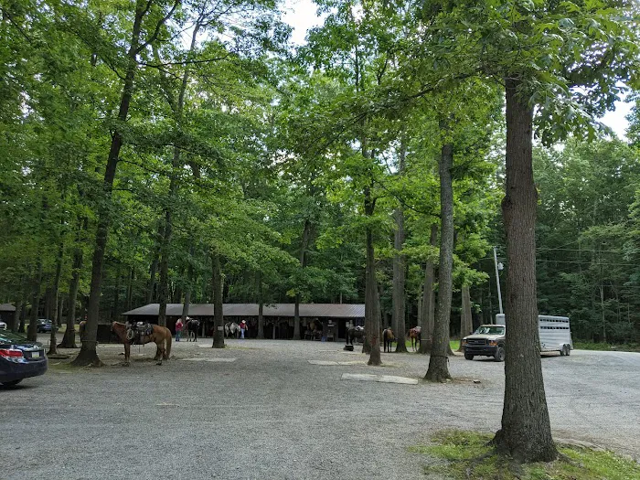 Cook Forest Scenic Trailride, Dude Ranch, and Campground 3
