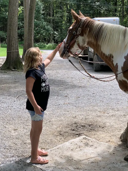 Cook Forest Scenic Trailride, Dude Ranch, and Campground 8