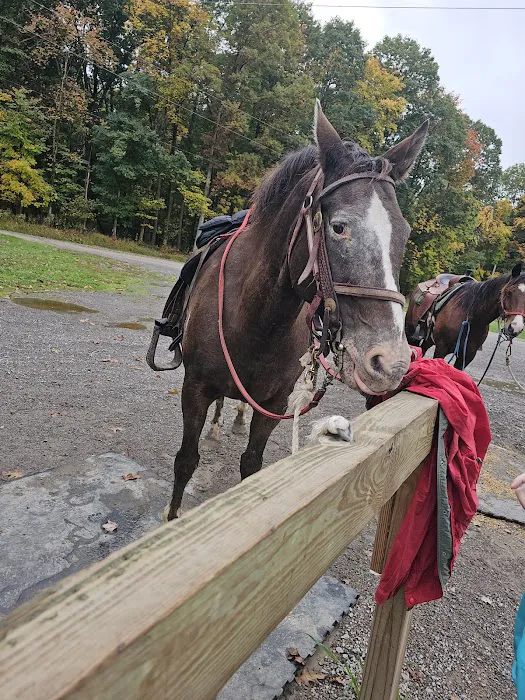 Cook Forest Scenic Trailride, Dude Ranch, and Campground 9