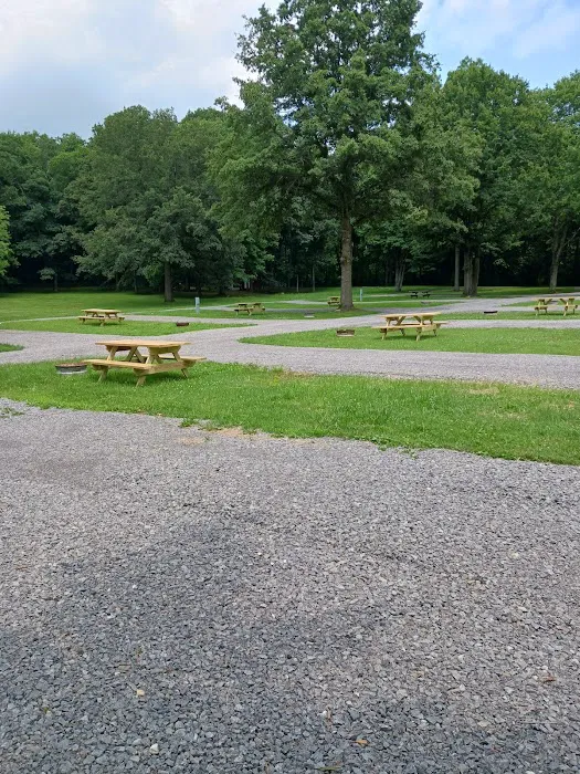 Quiet Acres Camping 2