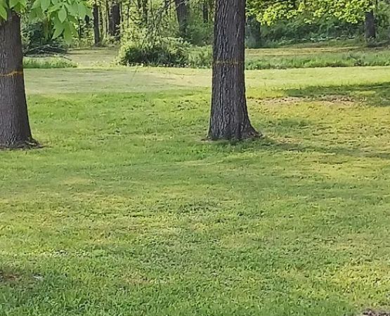 Quiet Acres Camping