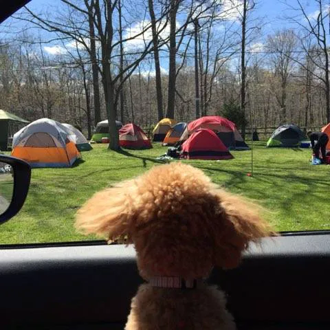Uncle John's Elk Creek Campground 6