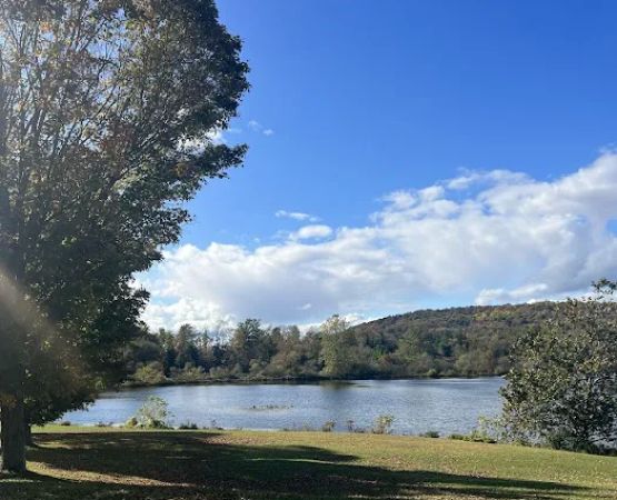 Mitchell Lake Campgrounds