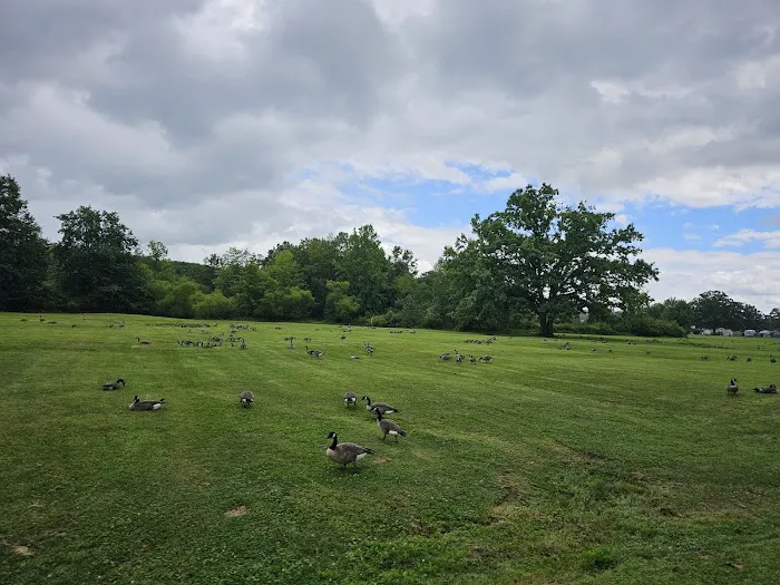 Plantation Park 9
