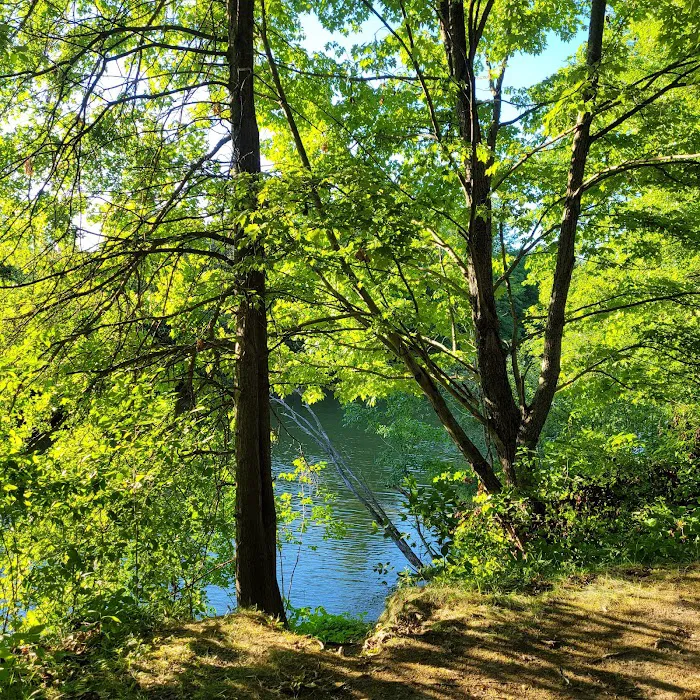 Shenango Campground 6