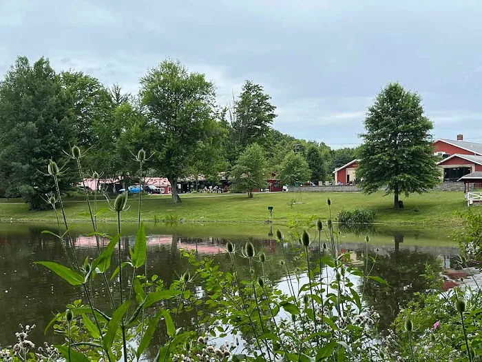 GabbaCamp 1