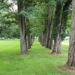 Locust Lane Campground