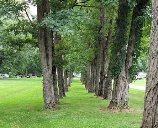 Locust Lane Campground