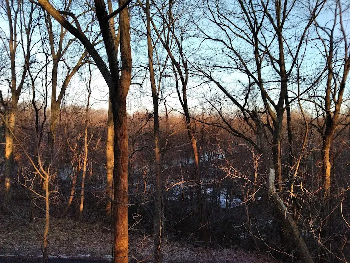 Locust Lane Campground 6