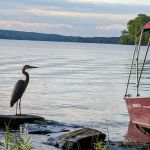 Pymatuning State Park Campground