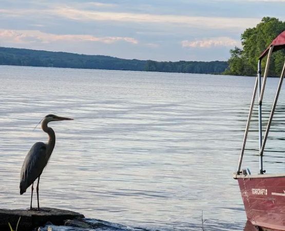 Pymatuning State Park Campground