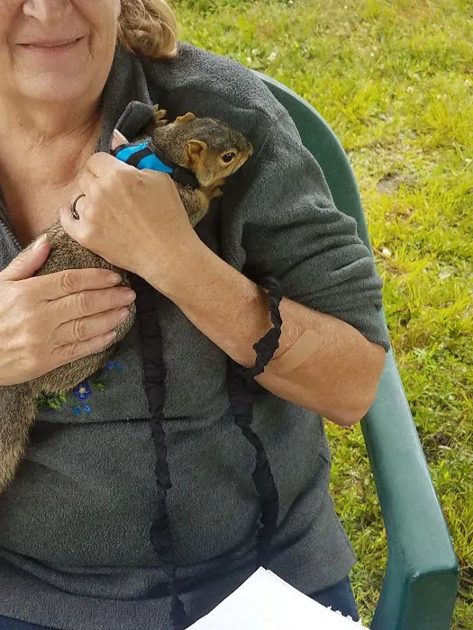 Wildwood Acres 0