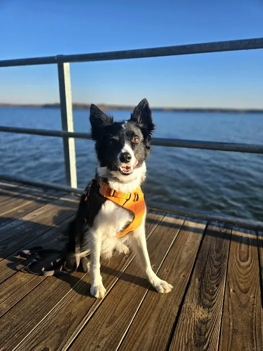 Tuttle Point Campground 7