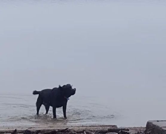 Tuttle Point Campground