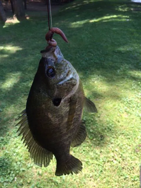 Jeffco Lakes Resort 4