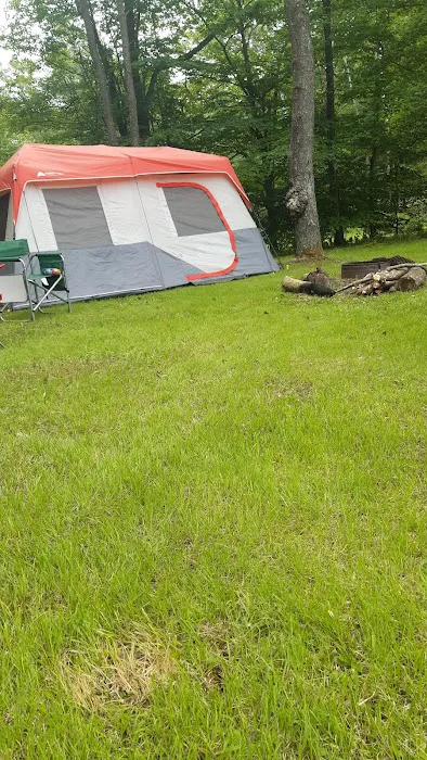 Black Bear Campground 8