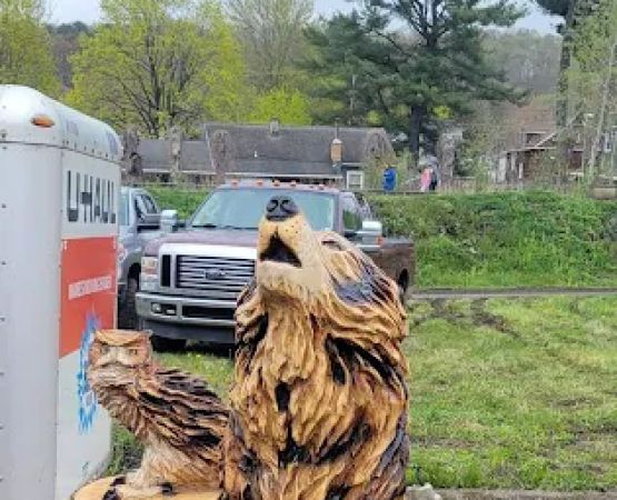 Ridgway Chainsaw Carving Rndzv