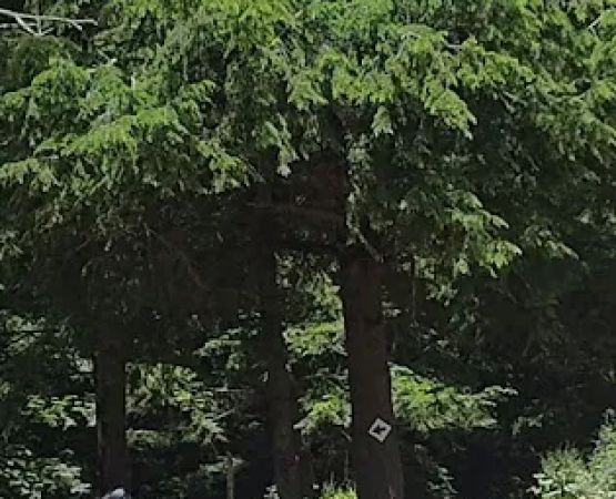 Majestic Kamp & Lost Trails Camp ground