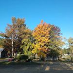 Breezy Point Campground