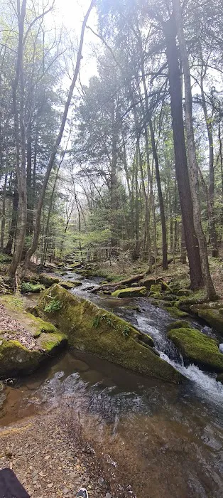 Allegany State Park Horse Camp 1