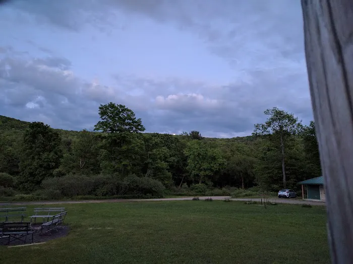 Group Camp 12 8