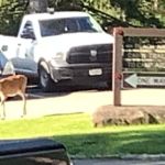 Redhouse Loop Campground