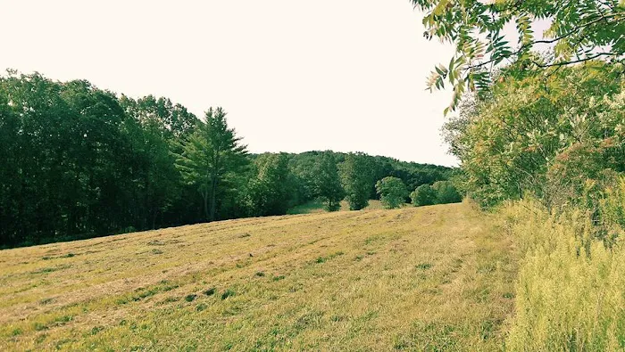 Clearview Campground 7