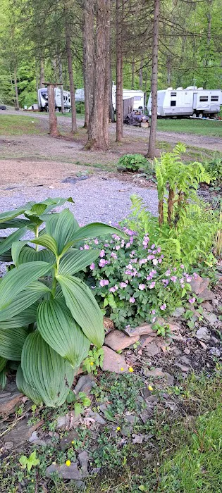 B-Bar-M Campground, LLC 5