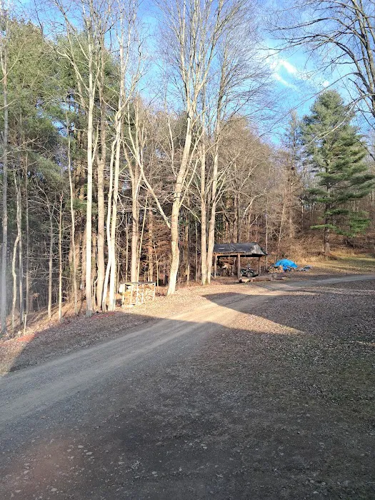 B-Bar-M Campground, LLC 4
