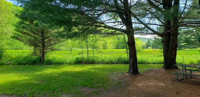Hoffman Campground 6