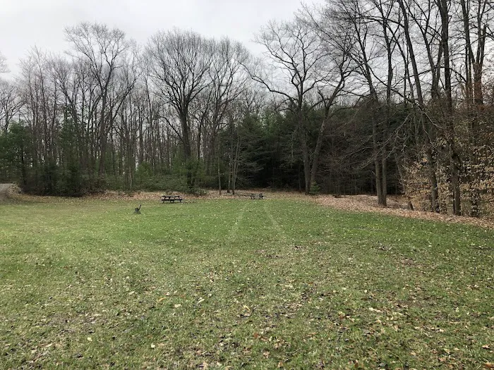 Rauch Road Gas Well Campsite 3