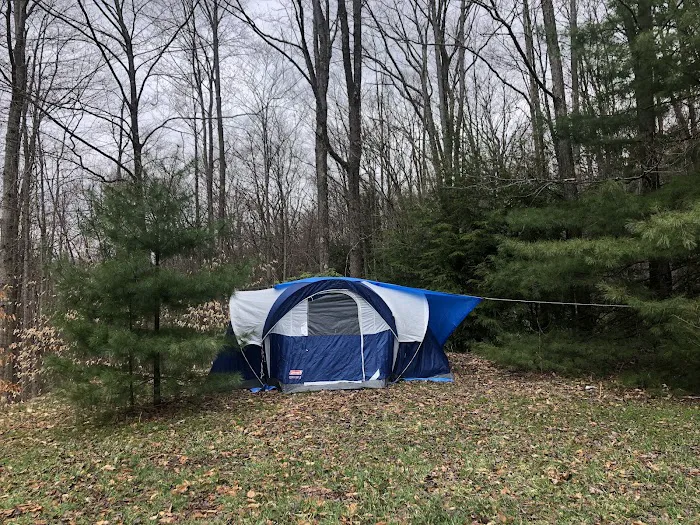 Rauch Road Gas Well Campsite 1