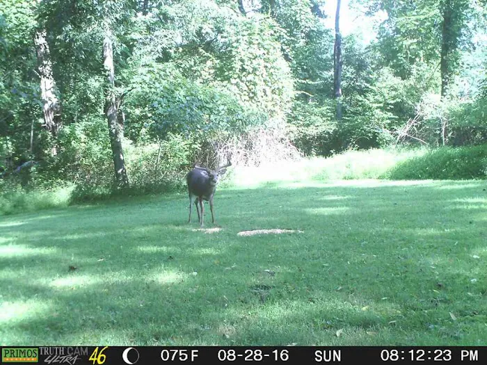 Black Forest Campground, LLC 1