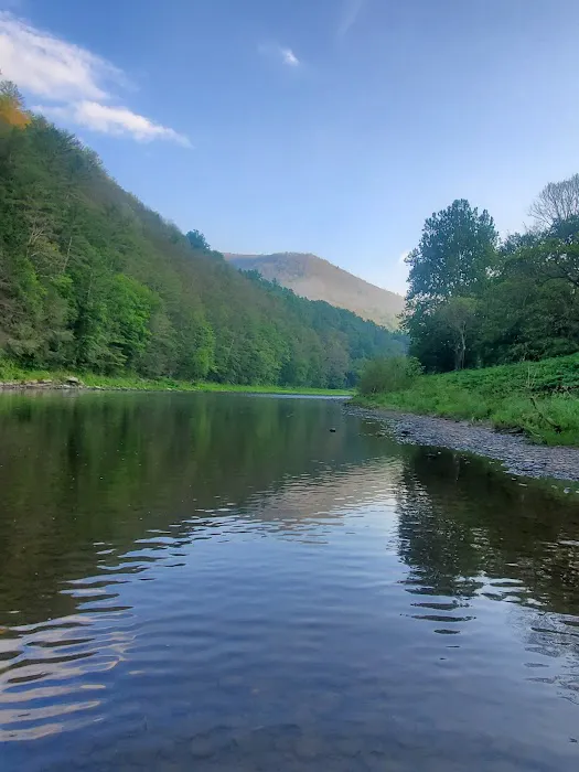 Black Walnut Bottom Campground 3
