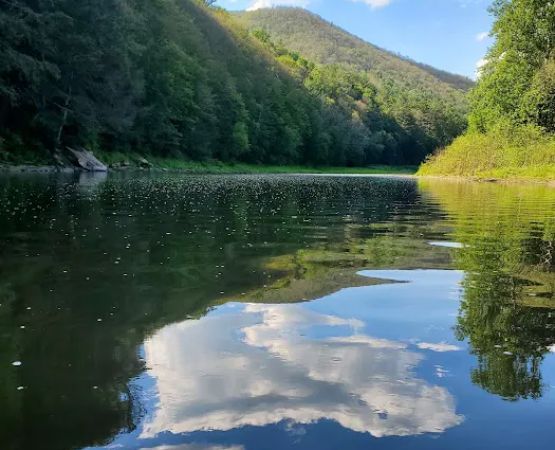 Black Walnut Bottom Campground