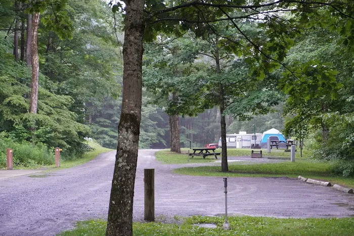 Lyman Run Daggett Campgrounds 5