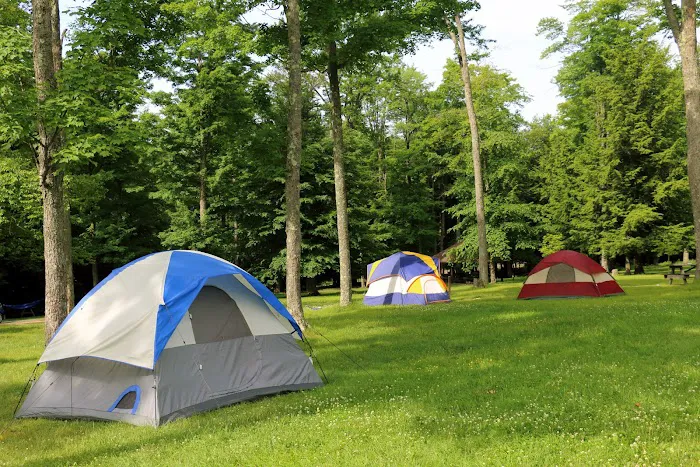 Cherry Springs State Park Rustic Campground 1
