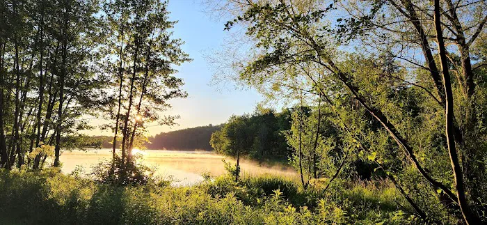 Ives Run Campground 5