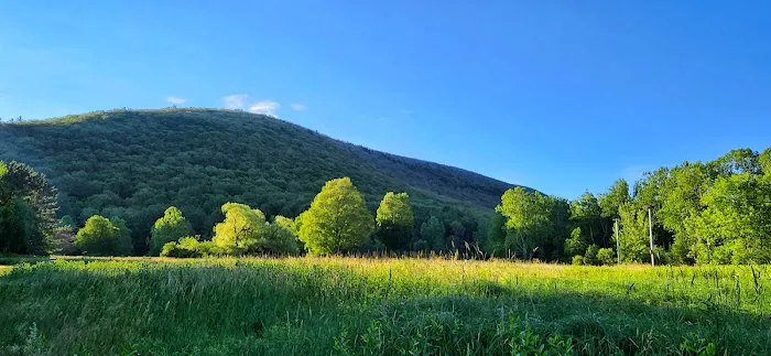 Ives Run Campground 3